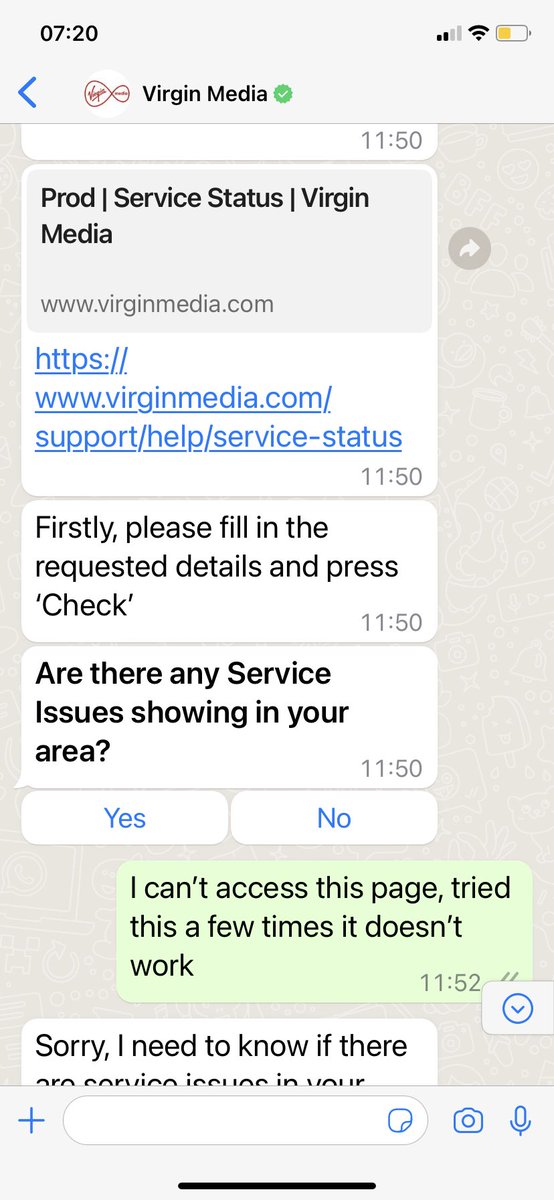 stephanie chivers tweet media