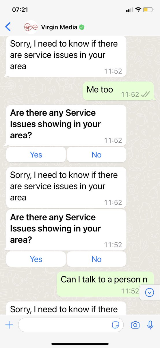 stephanie chivers tweet media