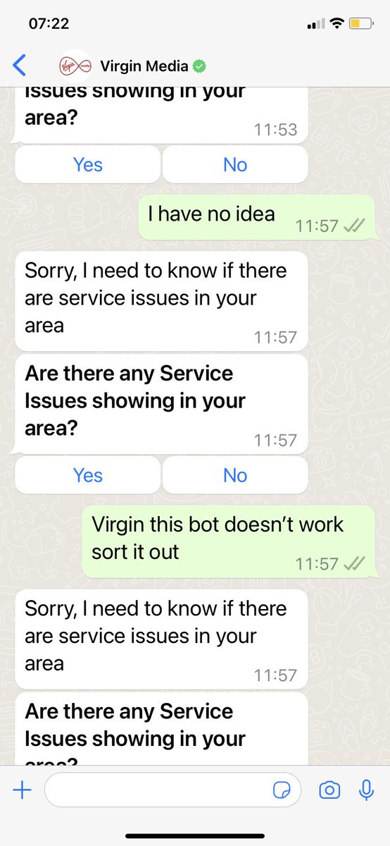 stephanie chivers tweet media