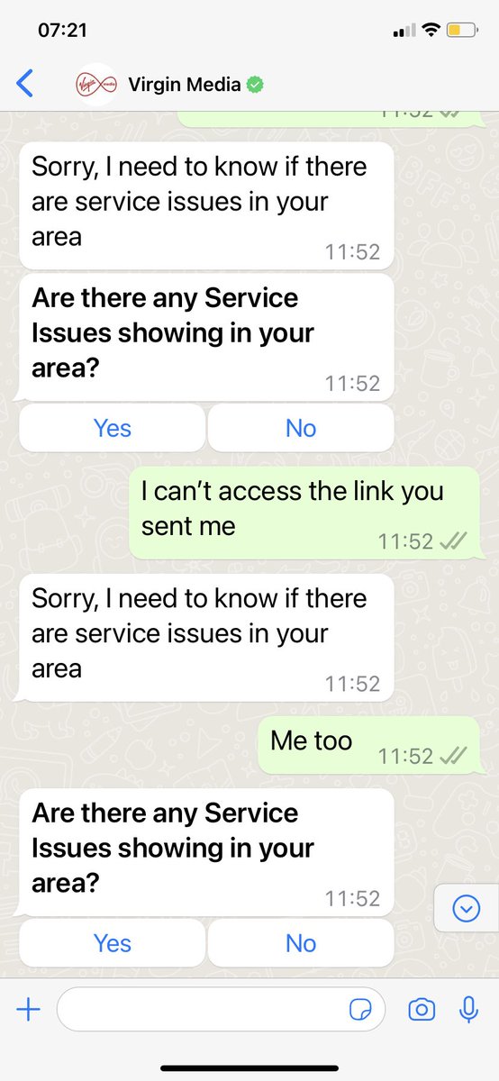 stephanie chivers tweet media