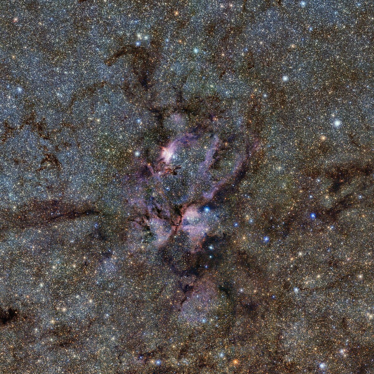 The Lobster Nebula

This image from ESO’s VISTA telescope captures a celestial landscape of vast, glowing clouds of gas and tendrils of dust surrounding hot young stars. This infrared view reveals the stellar nursery known as NGC 6357 in a new light.
