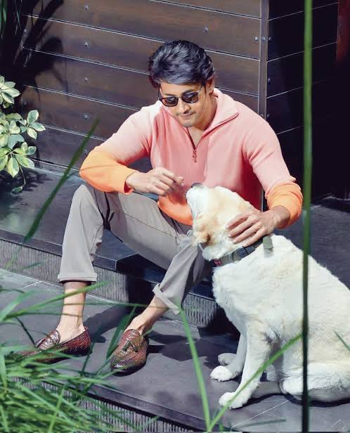 ParkerSpydey's tweet photo. #BeAManNotAFox https://t.co/g8J9JDRSpL