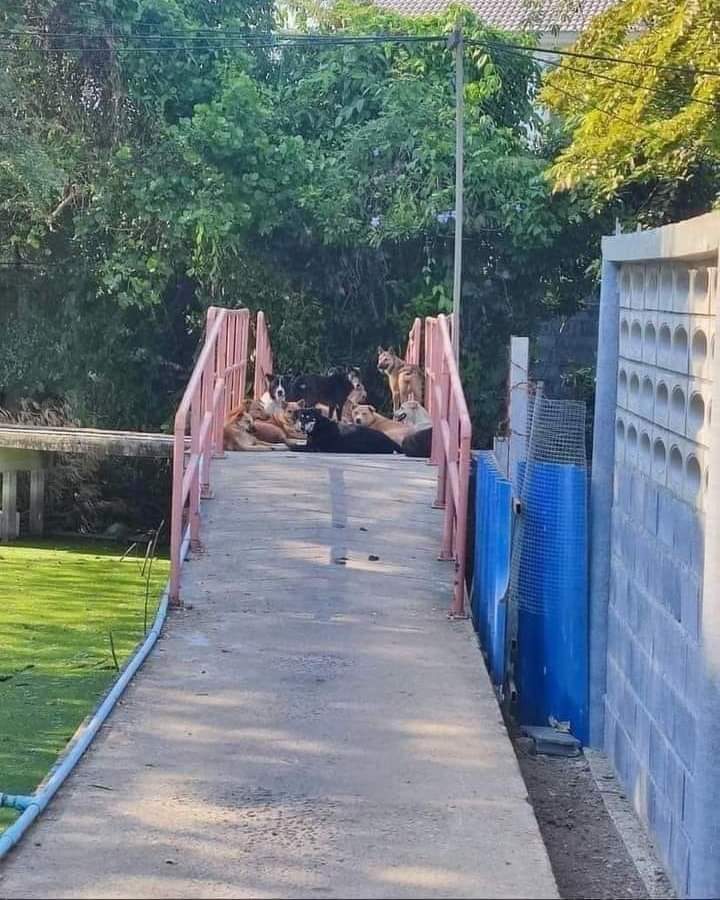 Homeboy56581258's tweet photo. Langoyin ko nalang papuntang kabila tagal ko na din di nakapag swimming
#ASOsasyon https://t.co/dfzzFwaODB