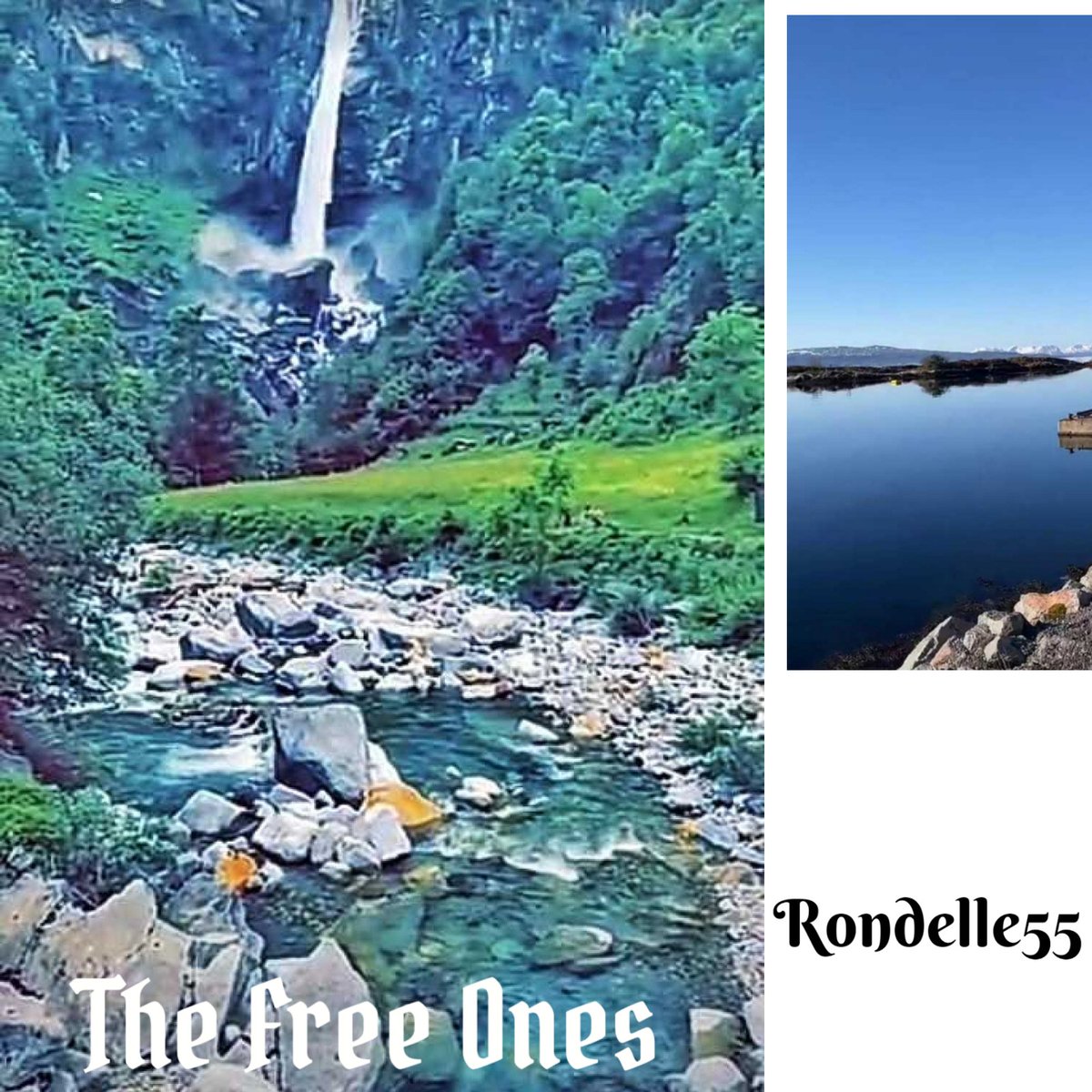 GawineGrant's tweet photo. The Poetry album, The Free Ones is out now.

#TheFreeOnes #Rondelle55 #newmusic #newrelease

https://t.co/DYOGHwGdPT https://t.co/i1n3XnUqDg