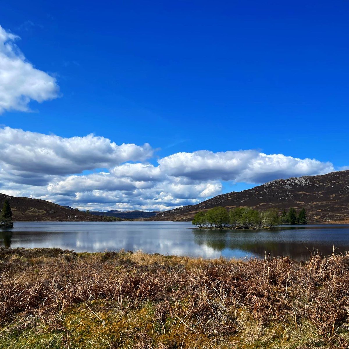 sarahmcquaid's tweet photo. -> wonderfully mirrored surface is #LochLochy; and the one with the little islands of trees in last 2 photos is #LochTarff. Looking forward to tonight’s gig at #TinHutSessions #GartlyCommunityHall, #Gartly (#Huntly), #Aberdeenshire — the first of a 5-night run that continues -> https://t.co/BSrwech9zw