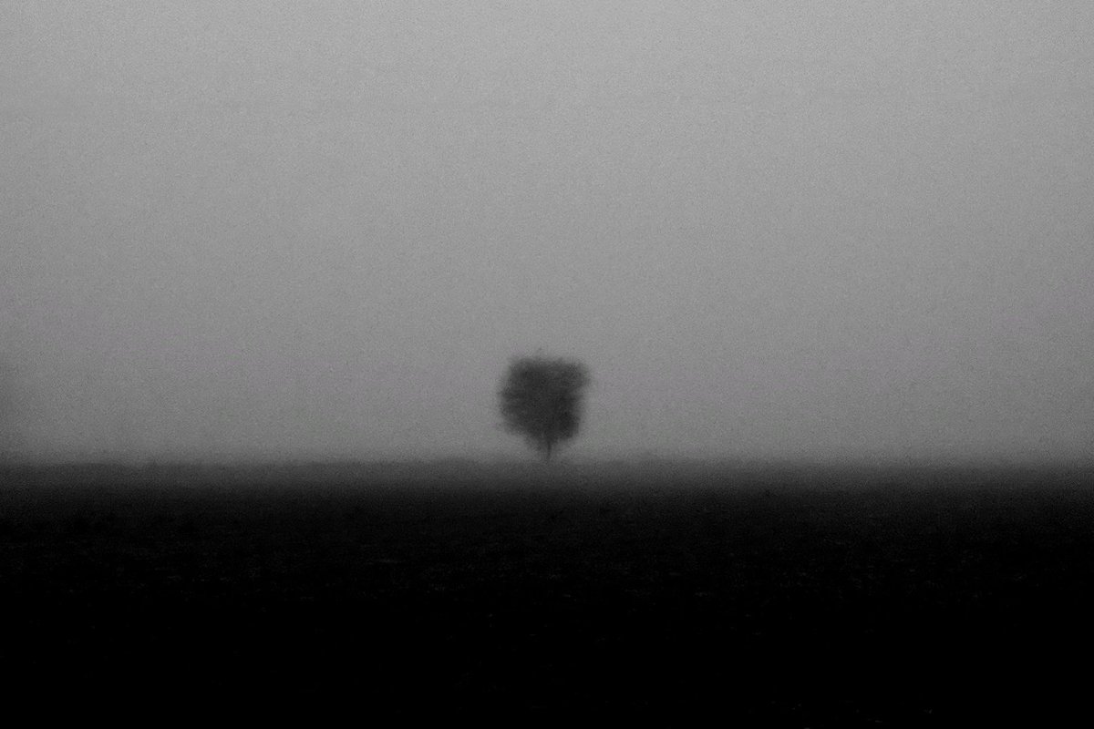 iodo_san's tweet photo. the horizon remains
Imperfect in my eyes
but sun is shining
. 
侘寂
.
#blackandwhitephotography
#minimalism
#wabisabi 
#haiku https://t.co/e5uvhUd14m