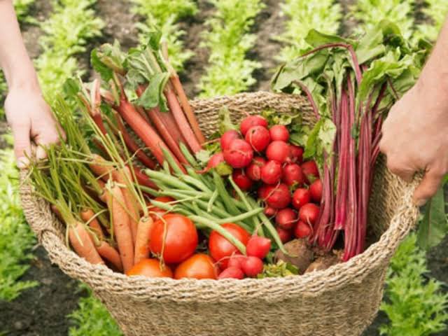 AlimentosSusten's tweet photo. Dale el amor que se merece a tu cuerpo y cosecha tus propios alimentos 💚 https://t.co/iGHtqoMCuH