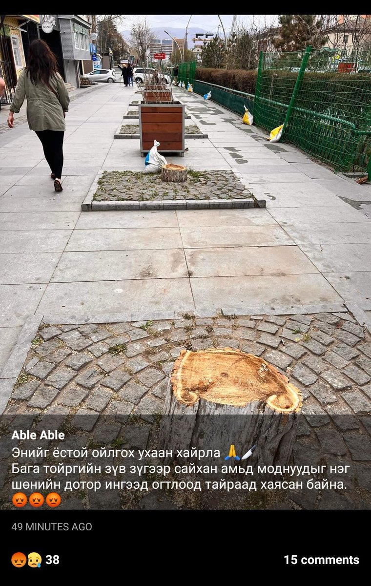 Нэг хэсэг нь мод тарья гэж байхад нөгөө хэсэг нь олон жил ургасан модыг ингэж тайрах нь юуны учир вэ❓😭