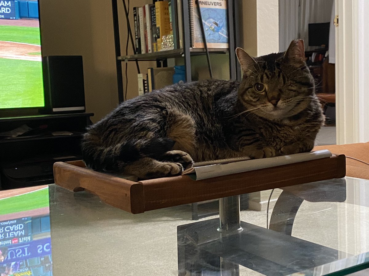 glennbick's tweet photo. If you see this tweet, QT with the most recent photo you took of your pet. No cheating https://t.co/XDoIm1lnXG