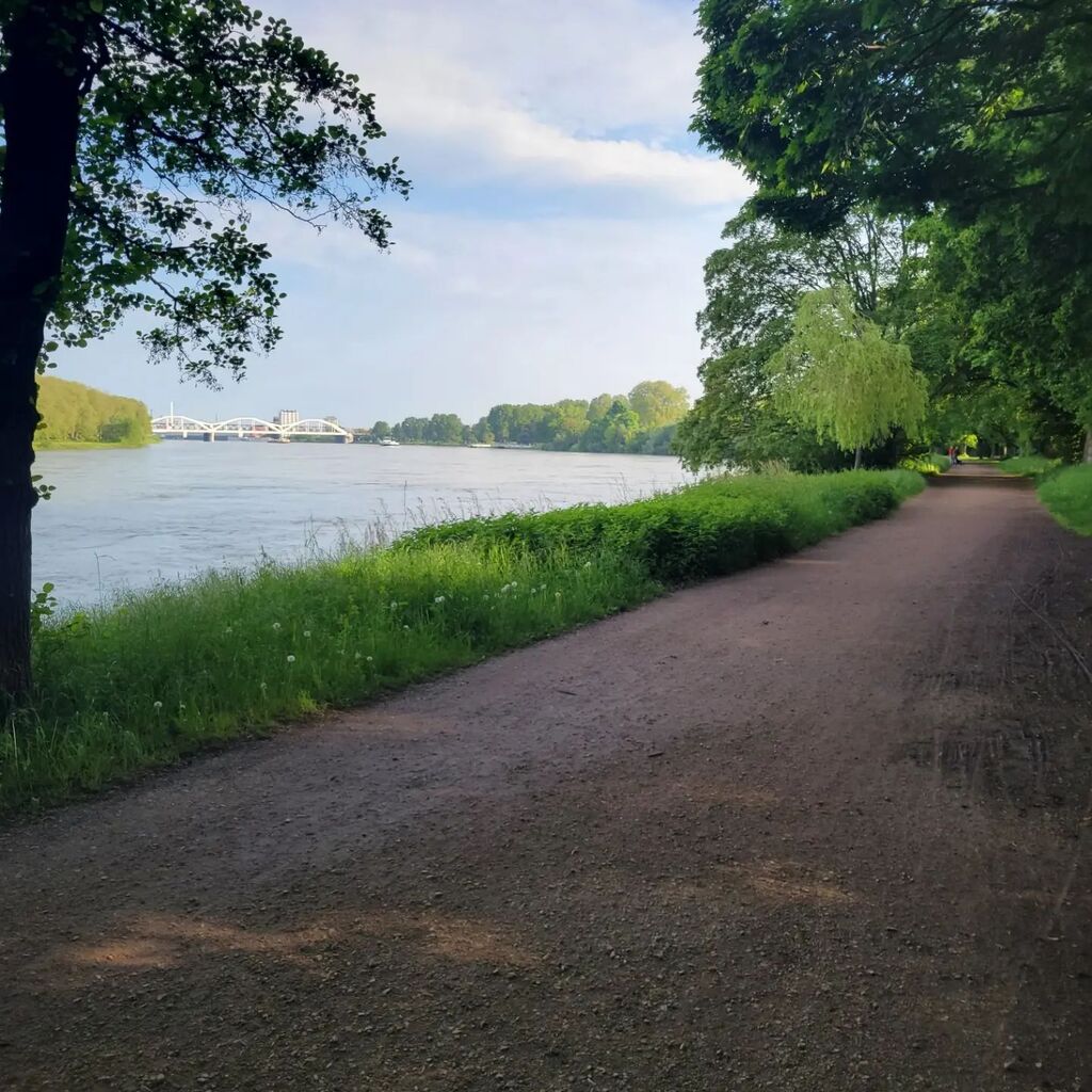 #morningrun #Sunnyday #ELCA #CNLA instagr.am/p/CsLF1bGsfxv/