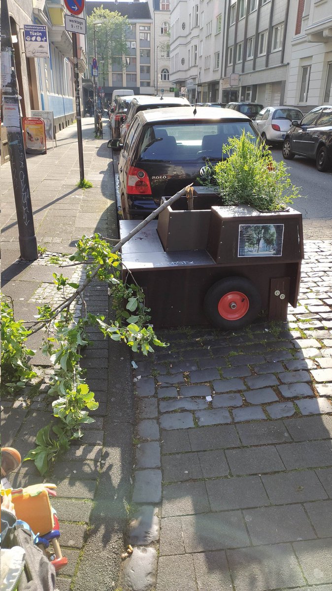 M_aul_i's tweet photo. Den Baum kann man neu pflanzen, aber wer macht sowas und warum lässt man seinen Frust an einem Baum aus?
#Koeln https://t.co/uLPVfxdv5X