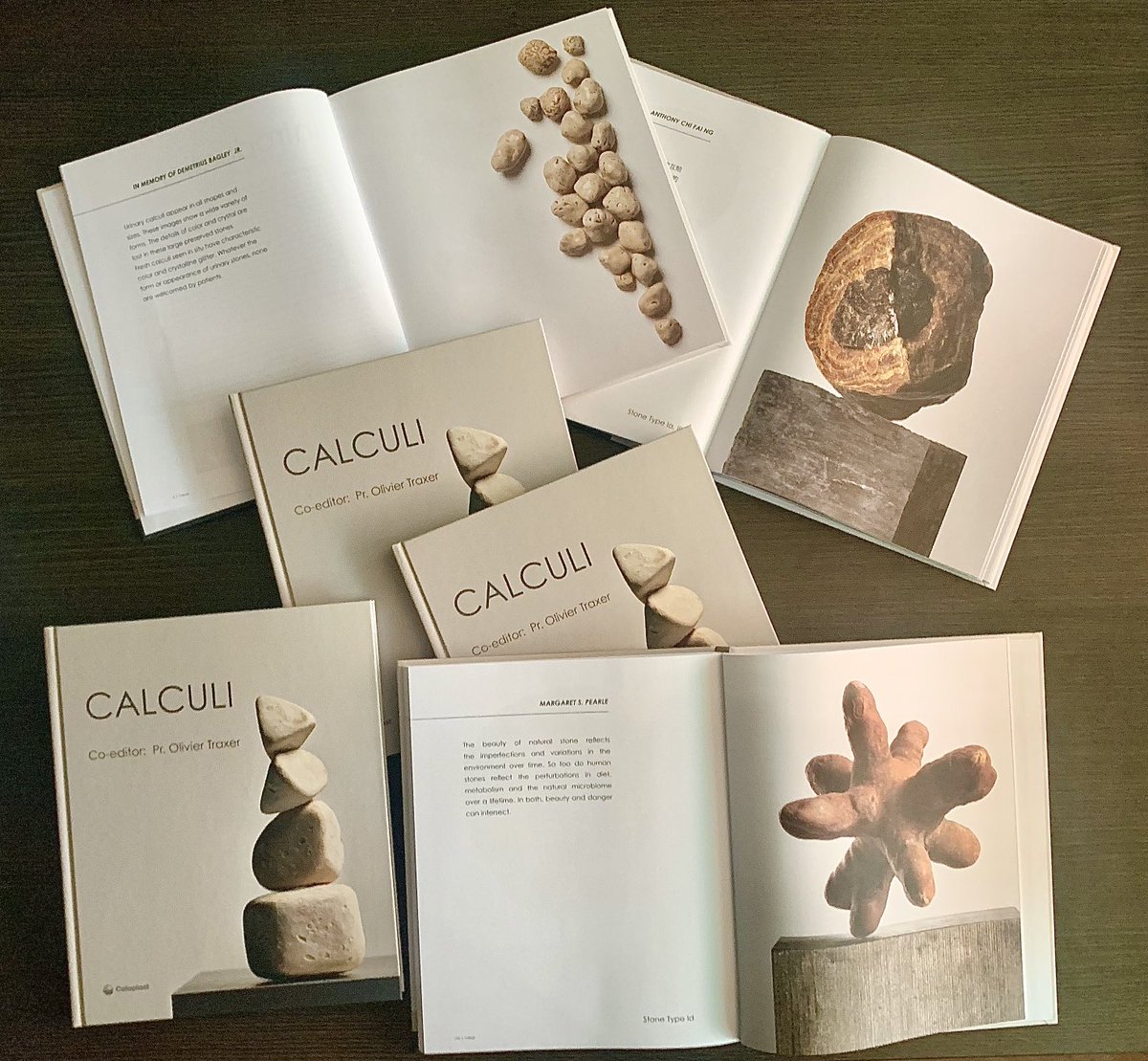 BN107: To all of you who love EndoUrology &amp; Urinary Stones.Don't delay &amp;ask COLOPLAST for this superb book.Magnificent photos of the most beautiful stones from my personal collection and amazing comments from the 60 most renowned KOLs in the world in endoUrology. LIMITED EDITION!