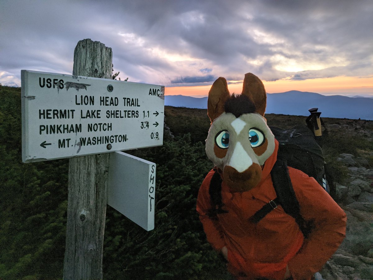 Patches ๐ ๐ ANE (@patchesthehorse) on Twitter photo <a href="/kojachusky/">๐พKojac๐พ</a> <a href="/CypherDerg/">Cypher</a> <a href="/Skyprocostumes/">Skyprocostumes๐ป</a> <a href="/SkyproStables/">Skypro Stables</a> <a href="/YosemiteNPS/">Yosemite National Park</a> <a href="/WaggeryCos/">Waggery Costumes</a> Also Mt Washington, which was quite a bit more taxing. <a href="/kojachusky/">๐พKojac๐พ</a> <a href="/CypherDerg/">Cypher</a> <a href="/Skyprocostumes/">Skyprocostumes๐ป</a> <a href="/SkyproStables/">Skypro Stables</a> <a href="/YosemiteNPS/">Yosemite National Park</a> <a href="/WaggeryCos/">Waggery Costumes</a> Also Mt Washington, which was quite a bit more taxing.