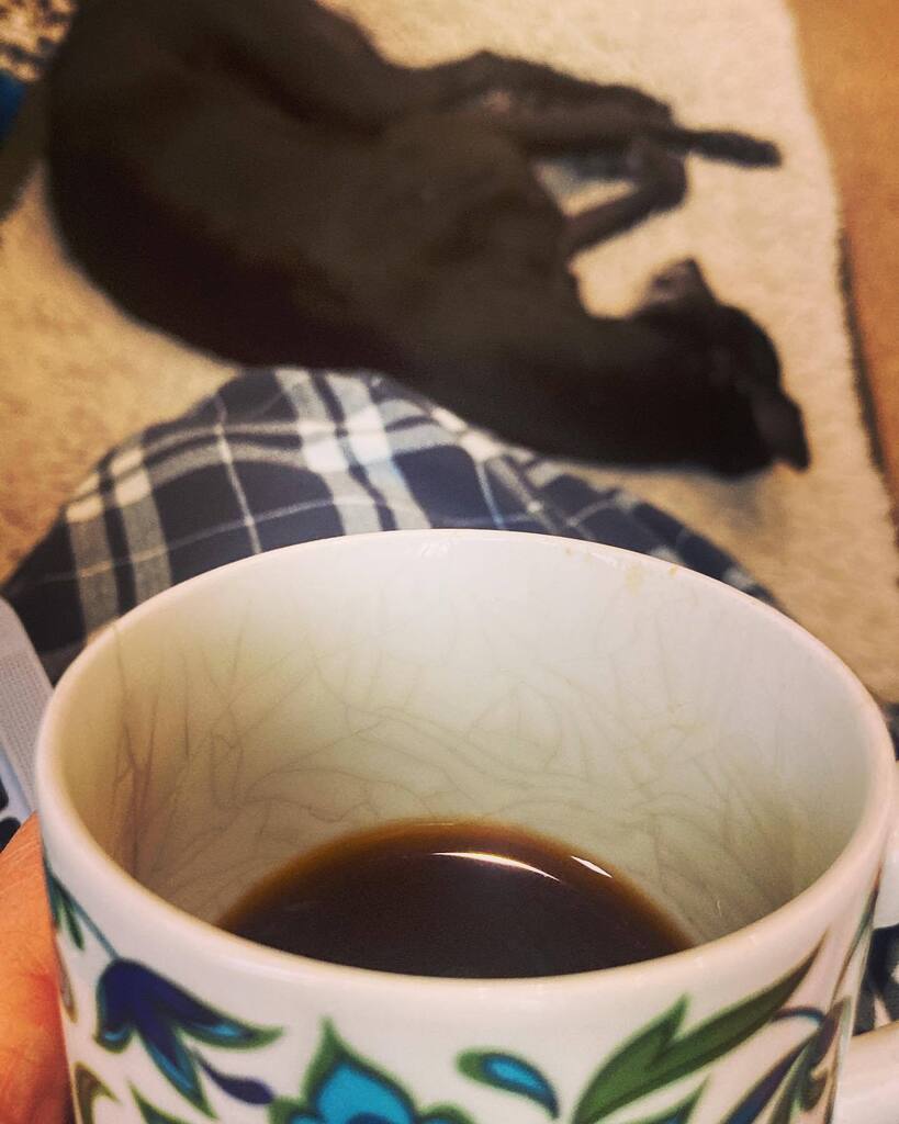 Morning! Just enjoying a early coffee with the sleepy dog, before I shake my tail feathers and get the cafe ready for a busy 🤞Saturday!
OPEN 9:30 - 4 today with all the yummy usuals and some great new specials! Love Zoë X instagr.am/p/CsLFcxKoA_Q/
