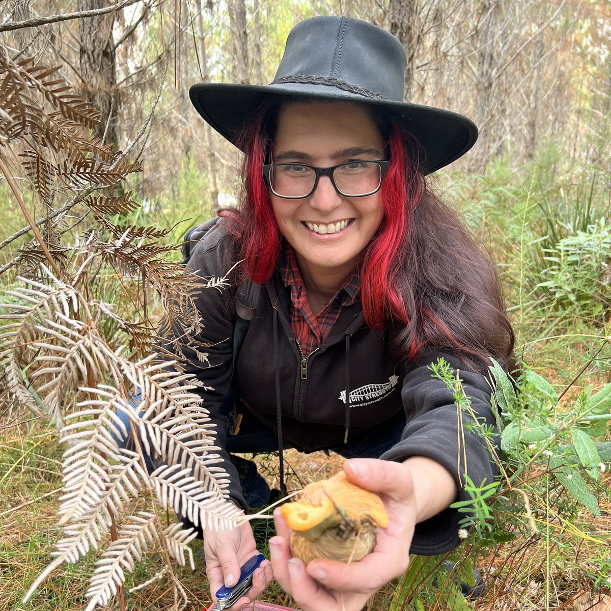 patra_petro's tweet photo. Successful morning foraging for mushrooms in a beautiful part of the country https://t.co/iAqEBCrvGG