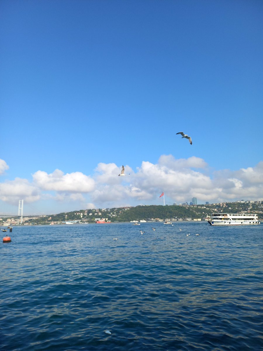 Kim demiş İstanbulda yaşanmaz diye..
Ben öyle bir yaşarım ki aklınız şaşar 💙