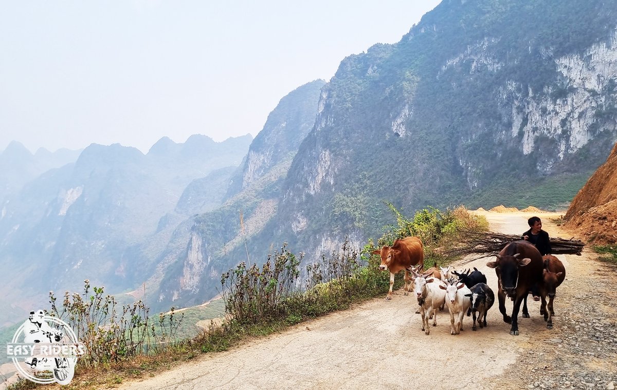 EasyRidersVN's tweet image. 📷 The Ha Giang Loop Tour is a great combination of extraordinary motorbike rides, diverse local cultures, and authentic cuisines.

Sign up for your next adventure with us!

#hagiangloop #easyridersvietnam #motorbiketravel #vietnam #vietnamriders

easy-riders.net/tours/tours-fr…