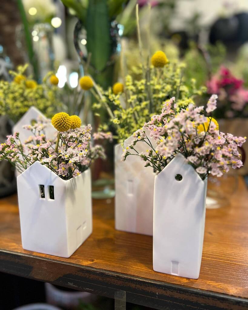 Scottiverdesign's tweet photo. Festa della mamma 👩…
Vi aspettiamo con una vasta selezione di fiori recisi, piante, vasi ed altro ancora….. 
.
.
.
#festadellamamma #fiori #augurimamma #mothersday #mom #flowers #flowershop #instaflower #festadellamamma2023 #scottiverdesign https://t.co/hbdRRo6amr https://t.co/zT9yKu9mCu