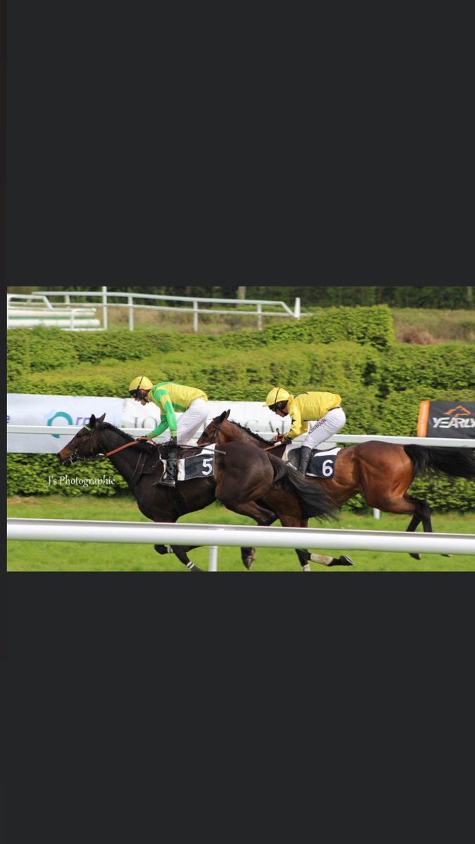 FoucherAdrien's tweet photo. Une journée entre satisfaction et joie 
Merci à mon champion Edenham qui m’a offert ma première victoire en obstacle 🤩 https://t.co/N5hnYWtISj