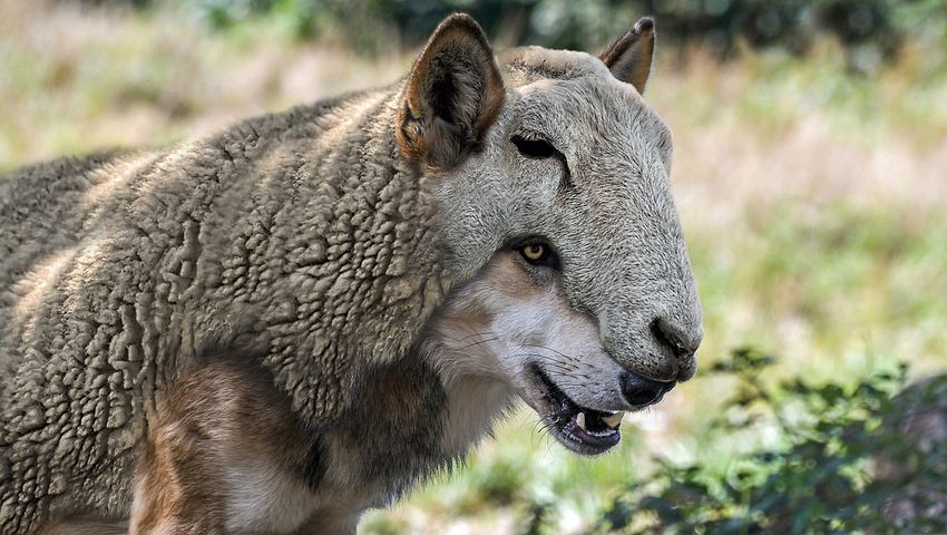 @cem_oezdemir @GrueneBundestag @ManuelaRottman 40 Jahre und das wahre Gesicht ist zu sehen.
Außer euren direkten Sektenmitglieder erkennt sogar ein 5 jähriges Kind Eure zerstörerische Kraft, den Idialismus, den Faschismus, die Hetze und Volksverachtung, die Umweltzerstörung und den Untergang den ihr fördert...