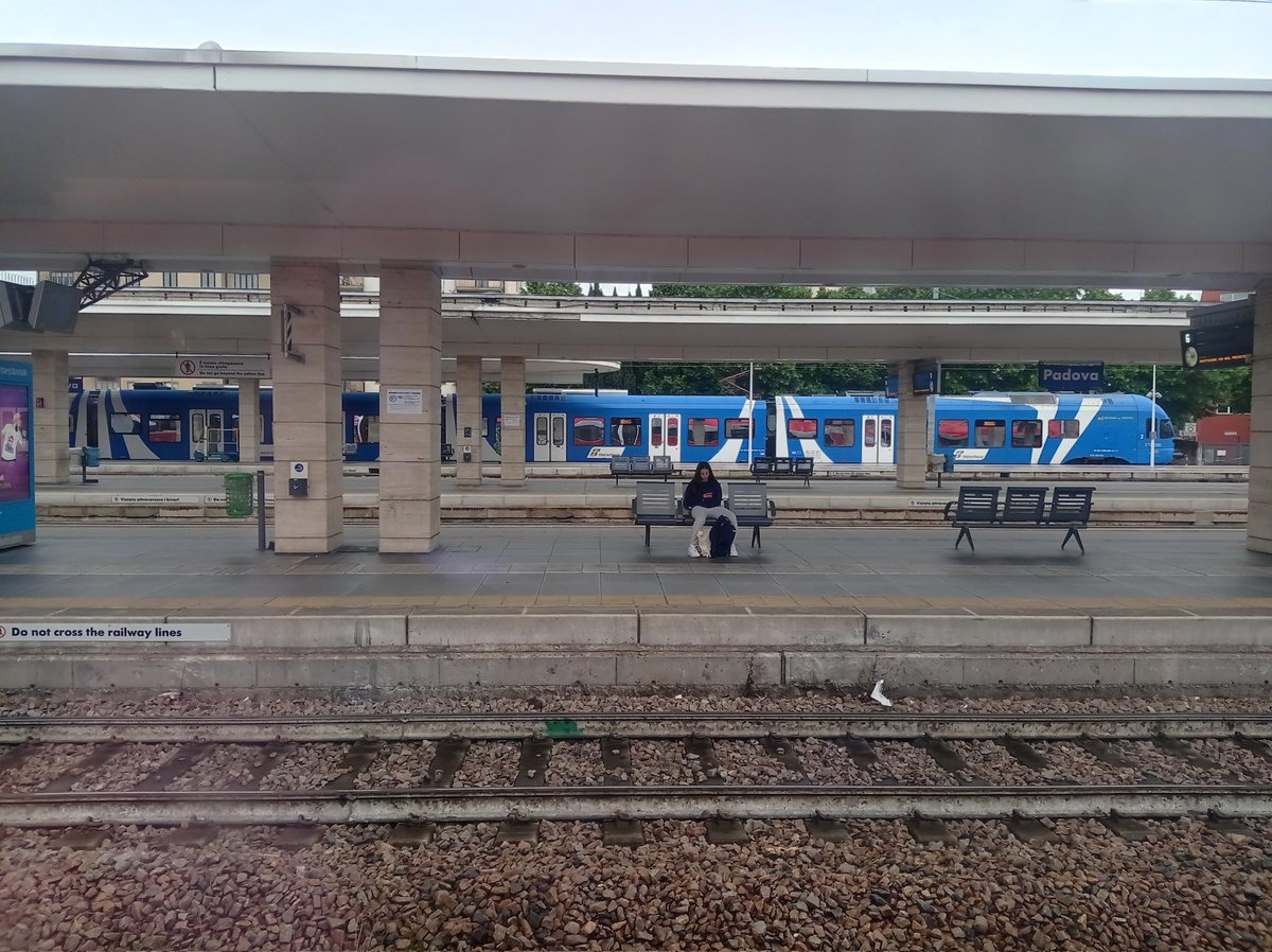 Lucie Tournebize tweet media