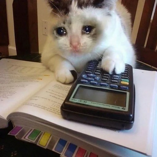 CatBonk1's tweet photo. contribution cost duty expense fine levy 
rate tariff assessment bite brokerage capitation 
custom dues excise giveaway imposition impost obligation tithe toll tribute https://t.co/q9yu4h6a9Q