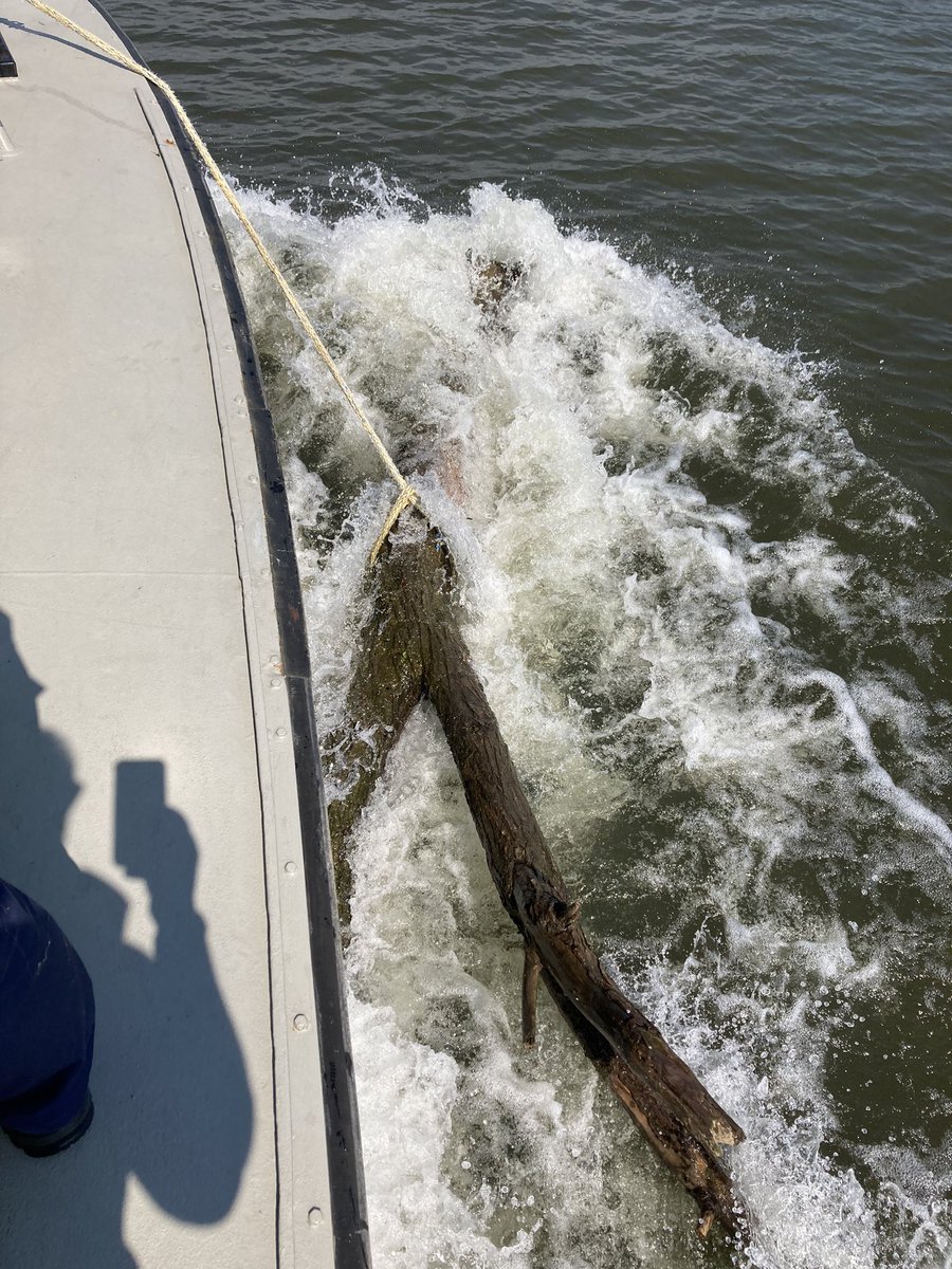 VLW_Joost's tweet photo. Weekenddienst op de #RWS18 in het zuiden van het land, na een melding van een paar #schippers diversen boomstammen uit het water gevist #julianakanaal #maas #rijkswaterstaat https://t.co/j7PHgUx0wW