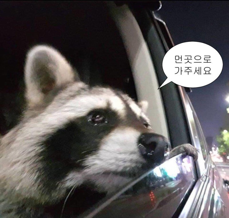 ...가오갤3봤어요