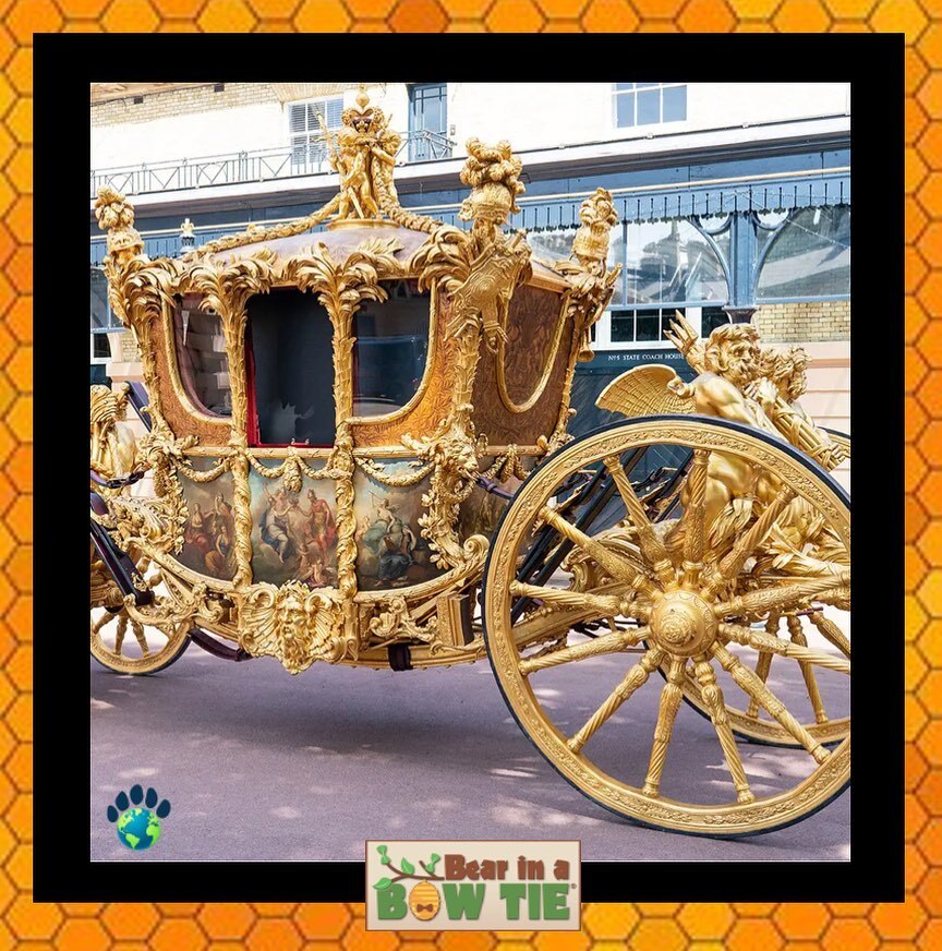 BearinaBowTie1's tweet photo. The #GoldStateCoach has been used in every #coronation since William IV’s coronation in https://t.co/fcmpZya9aP’s so heavy it can only move at walking pace, and needs 8 horses to pull it. 
#history #UK #funfacts #curious #bearinabowtie https://t.co/eo0DaGxEnV https://t.co/8xKbWVmEHp