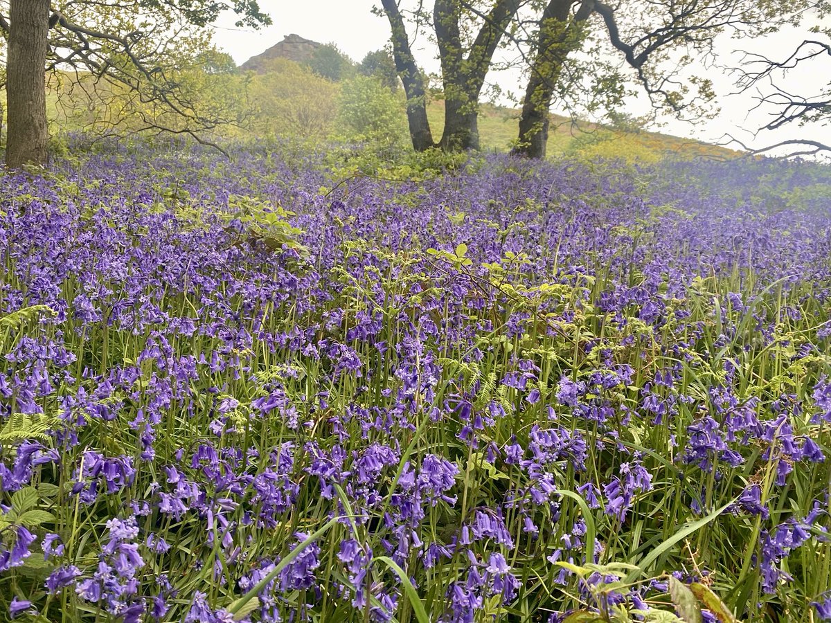 Wishing you a wonderful weekend from North Yorkshire 😊