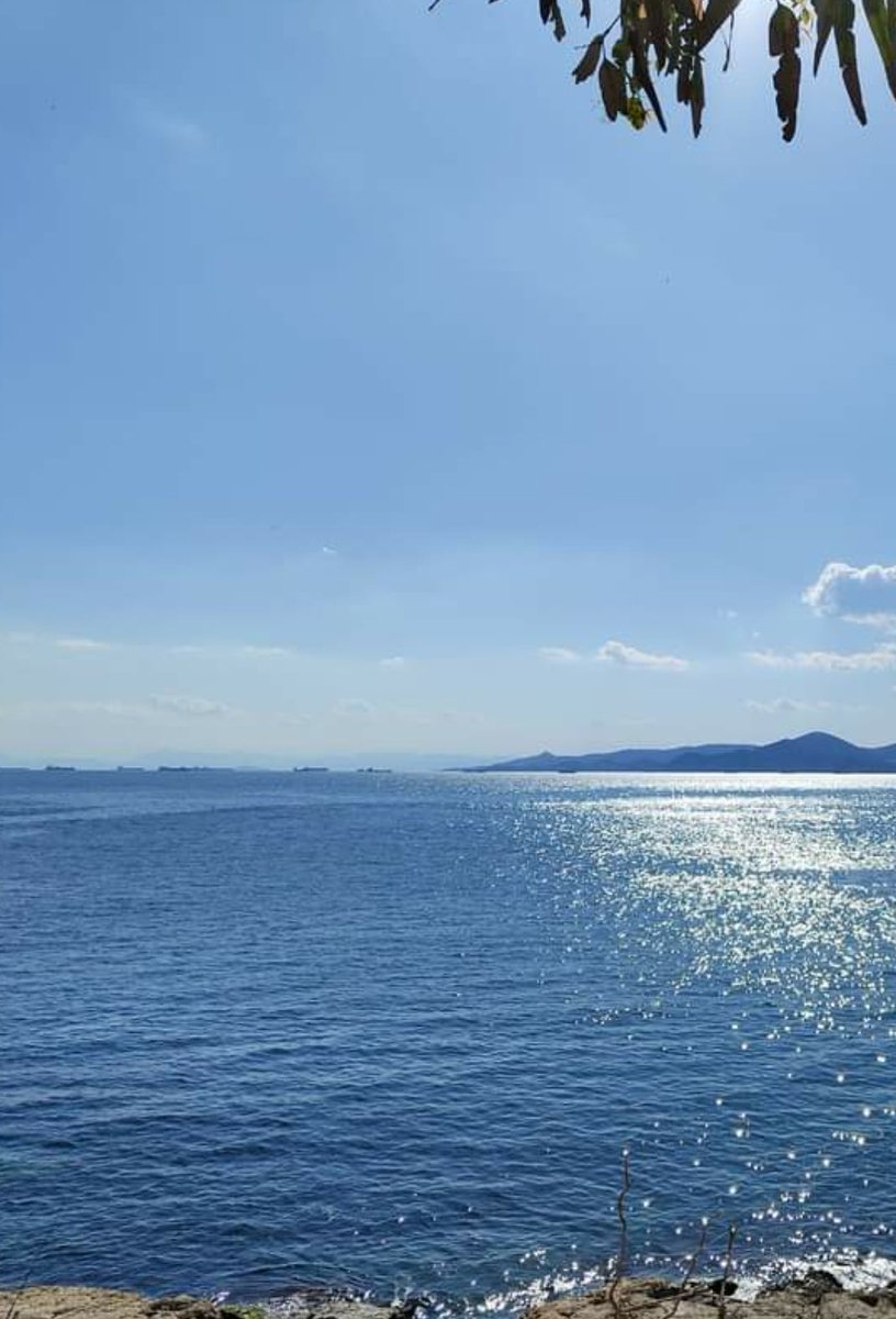 Nerrinaki tweet media