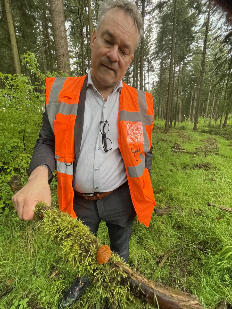 TomiSalo_Metsa's tweet photo. On tärkeää tutustua käytännössä, sparrata ja ymmärtää, miten #ilmastonmuutos kiihtyminen on kohdattu eri puolilla ja mitä näistä kokemuksista voi oppia täällä Suomessa varautumisen ja sopeutumisen osalta. Vaikutuksia myös #monimuotoisuus kysymyksiin. #luonto #metsätalous #saksa https://t.co/m1cbeLAkjH