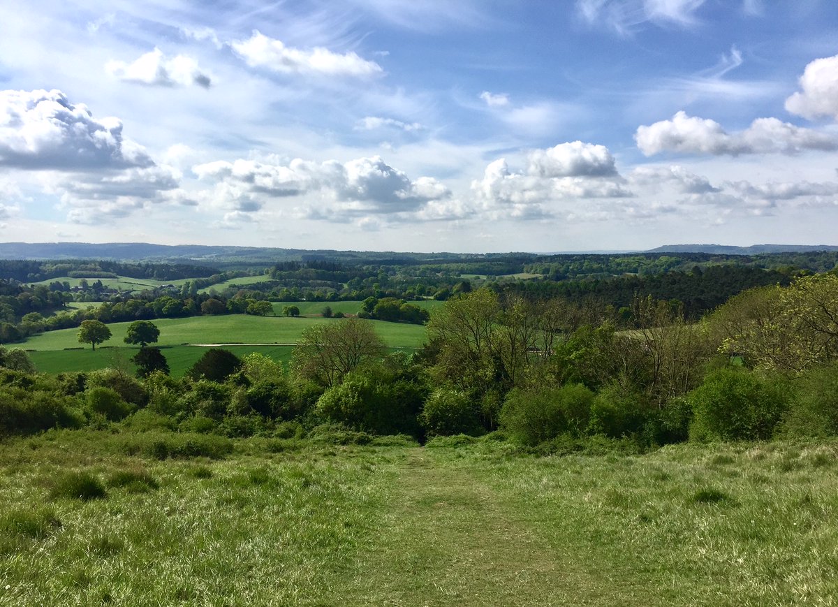 There's no question that this is my favourite place in #Surrey - Newlands Corner. So much to explore both on the chalk grassland slope & behind in the woods of Merrow Downs. Wonderful bird life, ancient Yews, wild flowers & this fantastic view. #surreyday #surreyhills