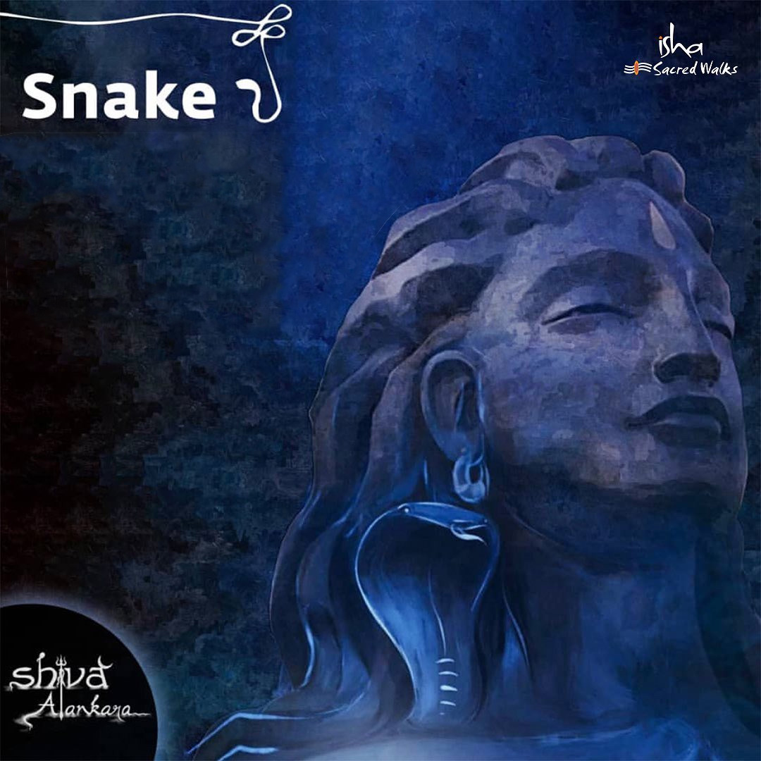 IshaSacredWalks's tweet photo. What does the snake around Shiva’s throat symbolize❓🐍

Stay tuned for the answer tomorrow! https://t.co/DgoLwqpMEZ