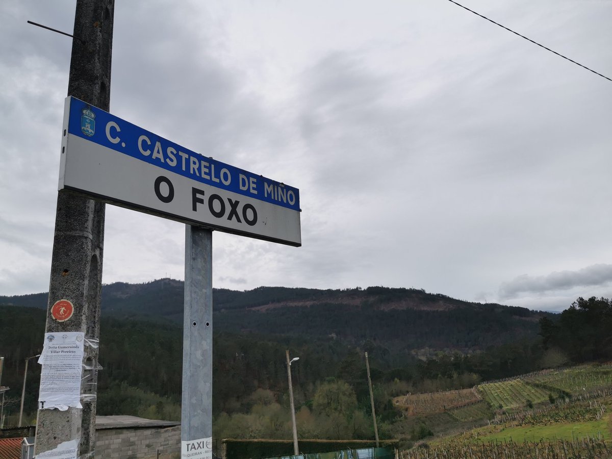 kcseddon's tweet photo. @ChrisGPackham @AliC132 I walked past a small village in Galicia and thought of your fox pics... https://t.co/Zu2UIJWLyt