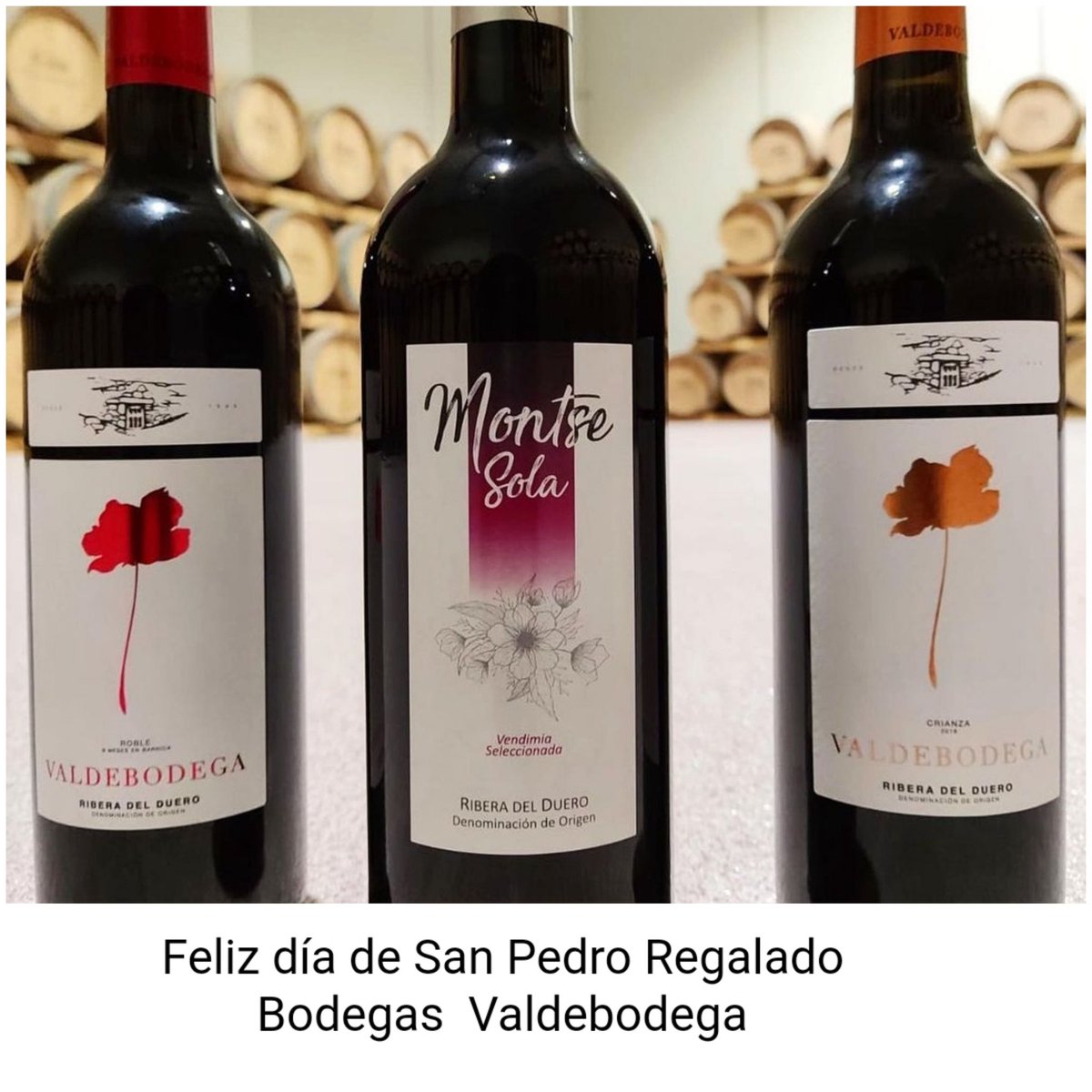 Disfrutar de los vinos Valdebodega
