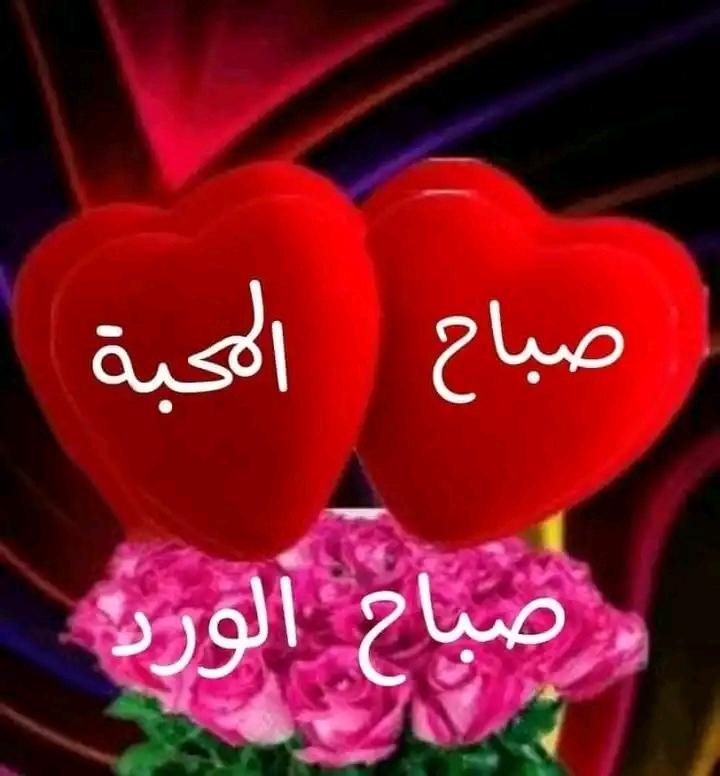 M_whg412000's tweet photo. *من غـــرس بقـــلـــبه*
   *حـــب الخـــير  للـــناس*
   *أزهـــرت لـــه قـــلـــوب*
       *النـــاس محـــبـــة*
         🌹
#قروب_اصيل_للدعم
#سلاطين_الفخر_للدعم
#قروب_الصقور_للدعم https://t.co/5slJO4qrjZ