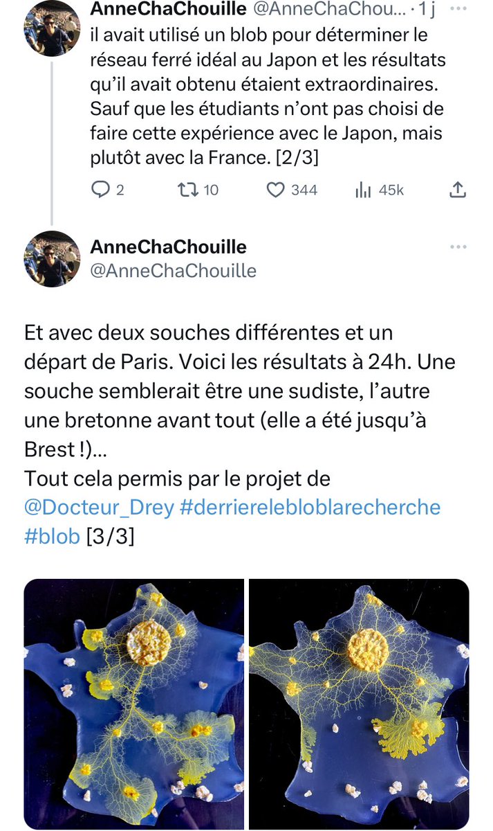 Bah voilà, on a désormais la preuve qu'il ne fallait pas abandonner la LGV Paris-Orléans-Clermont-Lyon (POCL) ! Bravo le COI... 😂 
<a href="/SNCFReseau/">SNCF Réseau</a>
<a href="/david_valence/">David Valence</a> 
<a href="/TrainClermont/">Les Usagers du Train Clermont-Paris</a>
<a href="/AnneChaChouille/">AnneChaChouille</a>
