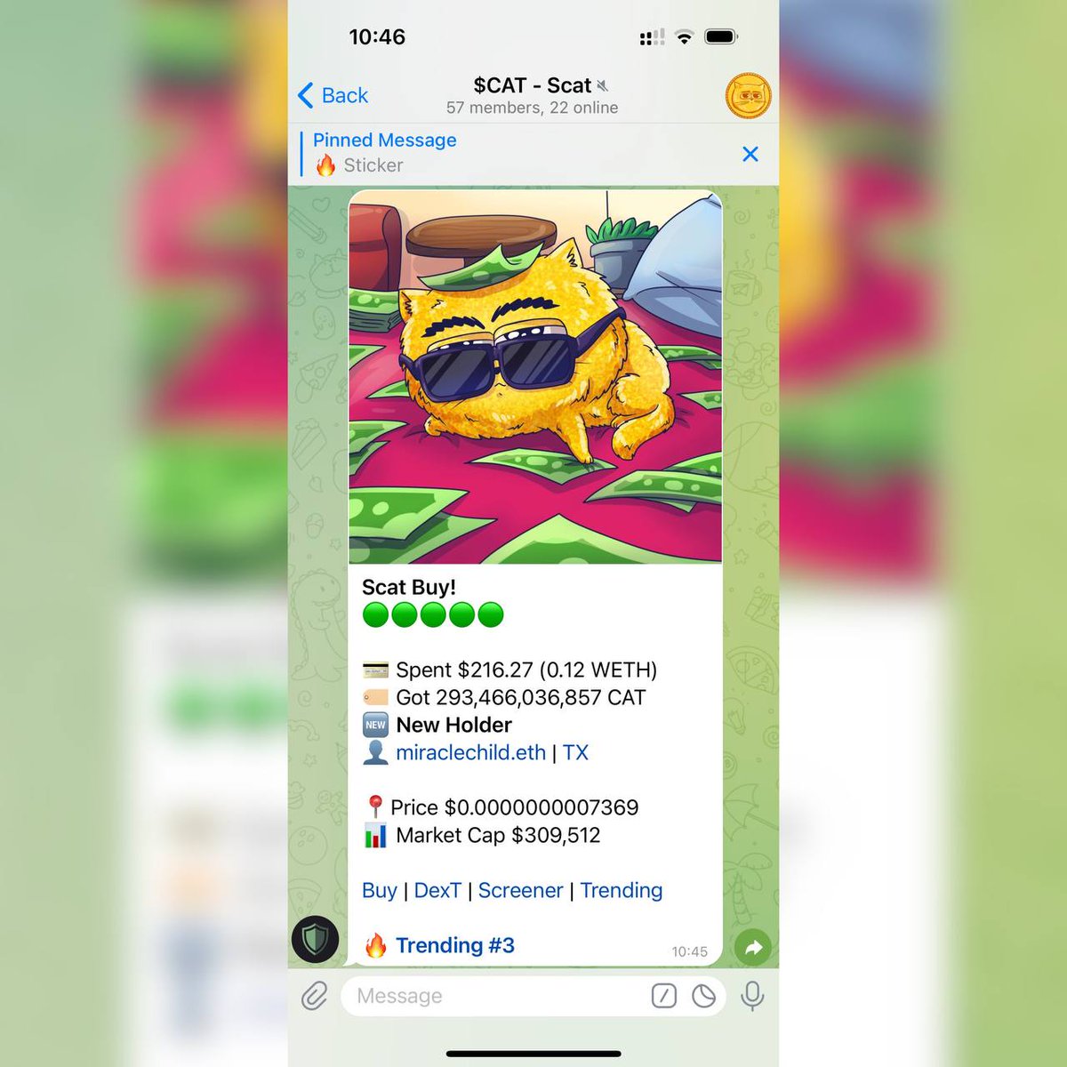 $CAT is a #3 trending #memecoin rn! 🔥

Join our meowish Telegram group now: t.me/mynameisscat