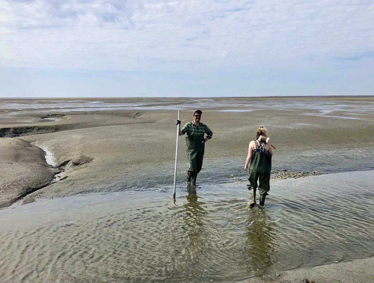 ElPatagones's tweet photo. It’s day 7 of our spring campaign for the @CDRmare project #sea4soCiety sampling seagrass habitats of the Wadden Sea — fun in the mud with @ReentsSvenja and @nicoca91 ☺️ https://t.co/xefTQxNCJF