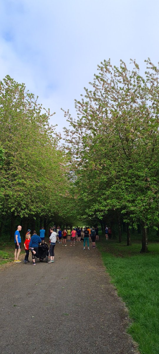 Mark Young tweet media