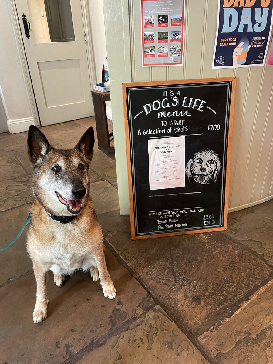 After a nice sunny walk along the river RPD Nouchka popped in for a swift drink to cool down and checked out the menu <a href="/_TheSpreadEagle/">Spread Eagle Sawley</a> #LovingRetirement #RetiredK9