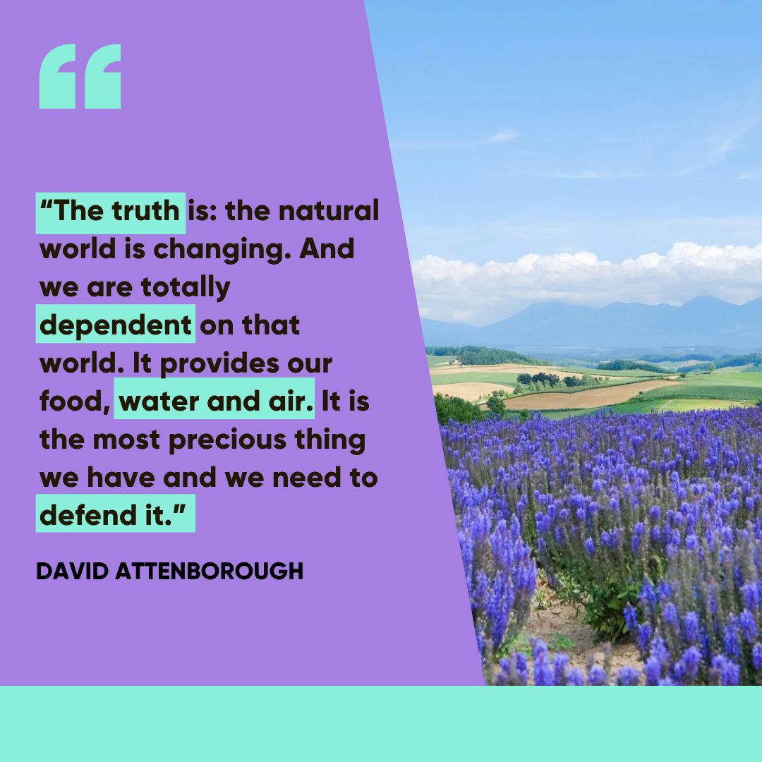 At IMPT, we give everyone the opportunity to reduce their carbon footprint by making carbon credits available to the world. 

You can purchase and retire carbon credits directly on our platform or earn rewards through shopping, which you can then convert to carbon credits.