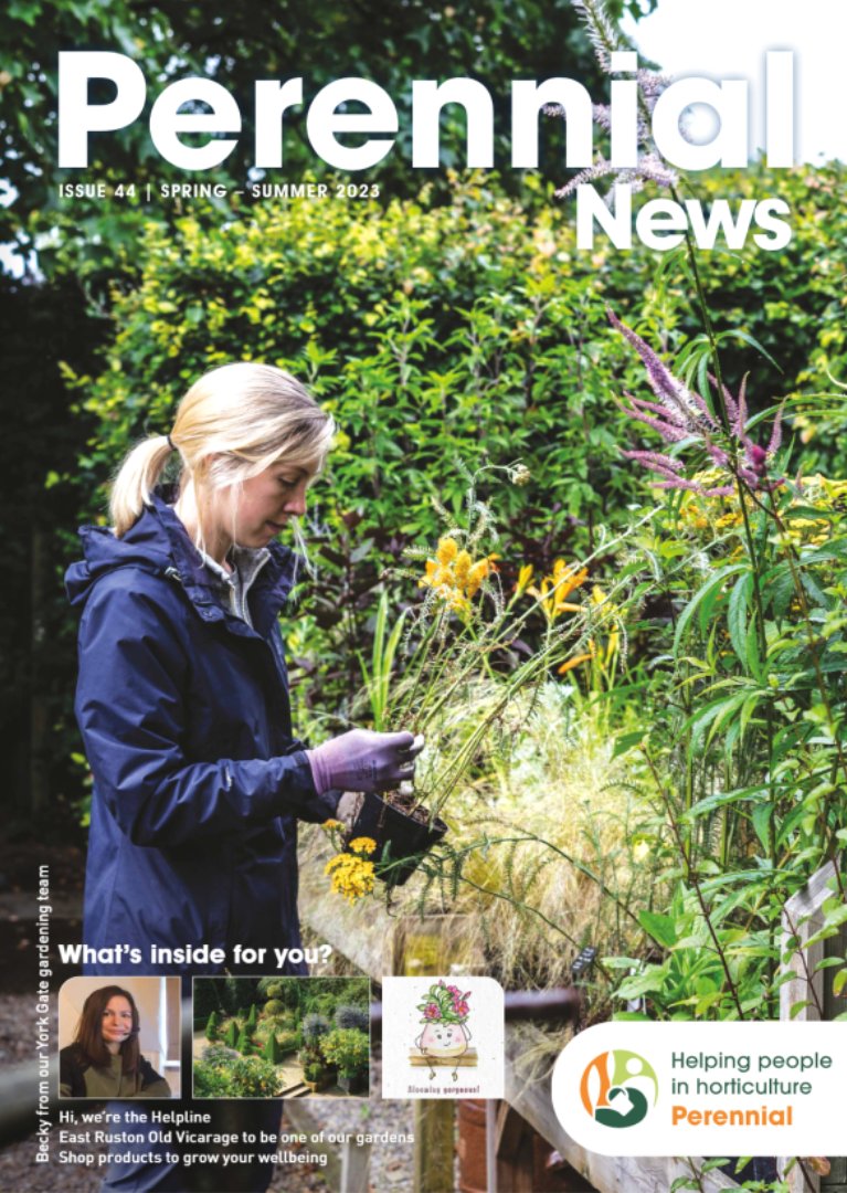 Perennial tweet media