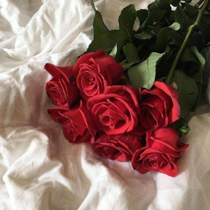 ruben_corella's tweet photo. #FelizSabadoATodos y todas #thesunrises #smileeveryday #redroses #rosesforpeace #stopwars #nomoreviolence https://t.co/eFQhNJM4P0