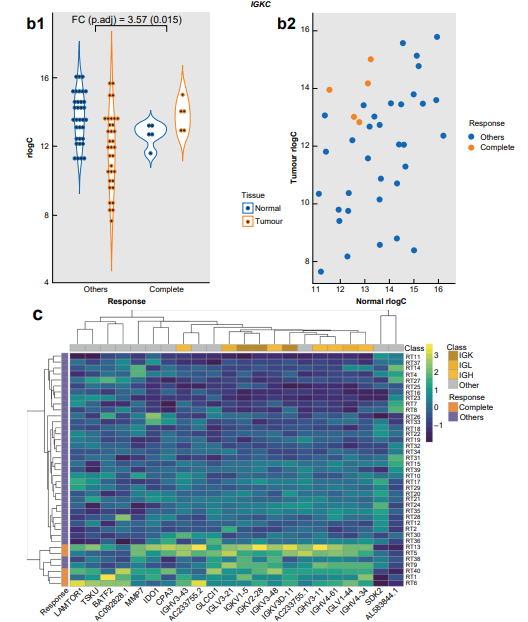 BjsOpen's tweet photo. RNA-Seq🧬of rectal🦀and adjacent normal tissue identifies immune responses (incl B cell activation and response to🦠) as predictive for complete response to chemoradiotherapy
https://t.co/yycm7NIpwU
#SoMe4Surgery #colorectalsurgery
#StepUp4CRC @Mcfark @LauraLorenzonMD https://t.co/YAduwuhji4