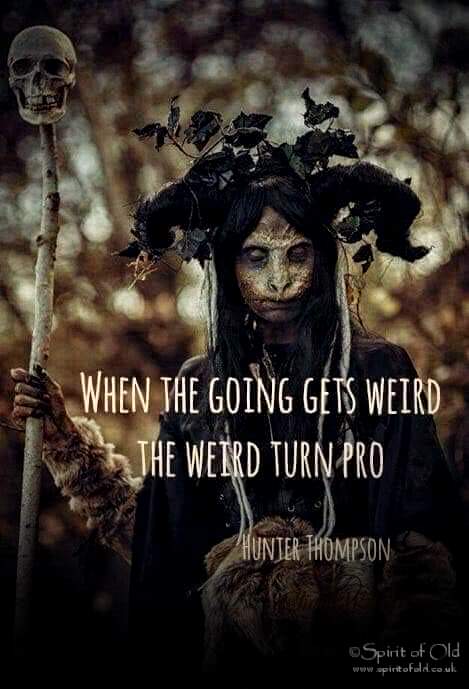 JetCorvidae's tweet photo. I love this level of weird! My kind of person 🖤

(Creator credit on the picture) https://t.co/1JCxFN4k9W