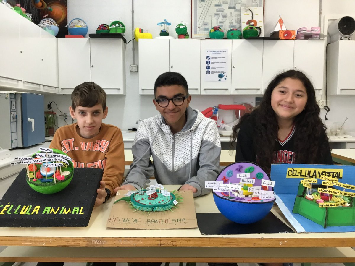 Els alumnes de 1r d’ESO han confeccionat les maquetes de les cèl.lules. Han treballat de valent i s’ho han passat molt bé! Aquí teniu una mostra del que han fet. #cellules #citologia #cells