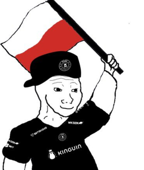 hooo_per's tweet photo. @9INEGG @TeamLiquidCS https://t.co/YgpilBecM8