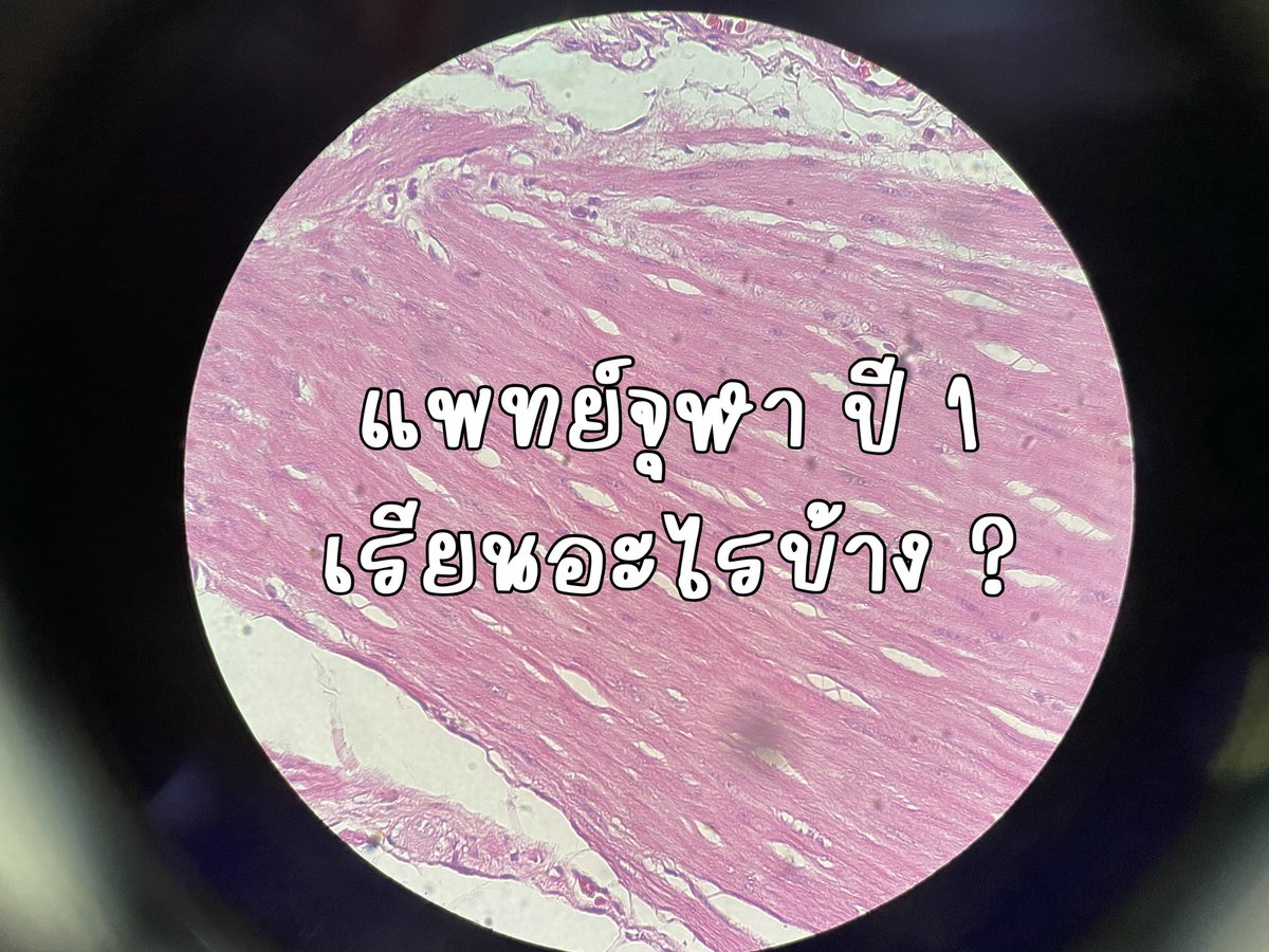 sixmetresapart's tweet photo. เธรด;  รีวิววิชาที่ต้องเรียนในชั้นปี 1 คณะแพทย์ จุฬา 🔍 (ฉบับ dek65)

วันนี้ #dek66 ยื่นอันดับได้วันสุดท้ายแล้ว ไว้ประกอบการตัดสินใจในการเลือกอันดับค่ะ #กสพท66 #TCAS66 https://t.co/hbcFIb6uM9